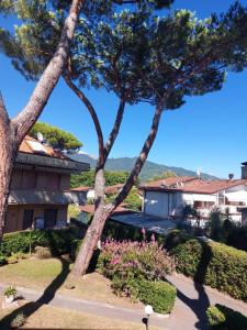 a view from the garden of a house with two trees at Appartamento al mare di Liguria e Toscana in Marina di Massa