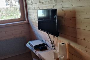 Habitación con TV en una pared de madera. en Chalet Luna, en Klippitztorl