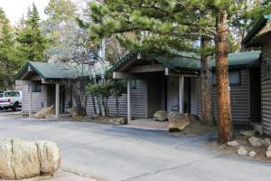 una casa con un albero di fronte di Sunnyside Knoll- 4 cabin a Estes Park