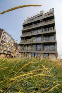 a tall building with tall grass in front of it at Zeebries Studio in Ostend