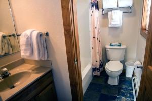 a bathroom with a toilet and a sink and a shower at Timber Creek Chalets- 8 chalet in Estes Park