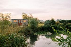 a tiny house in a field next to a pond at Bonnie's Shepherds Hut in Nottingham