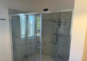 a shower with a glass door in a bathroom at B&B Giardino delle Camelie in Capannori