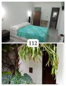 um quarto com uma cama e um quarto com uma planta em HIDALGO HOTEL em Palmira