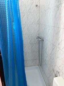ein Badezimmer mit einer Dusche mit einem blauen Duschvorhang in der Unterkunft Ličke noći in Donji Lapac