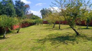 Vonkajšia záhrada v ubytovaní Spacious House with Garden in Touro – Family-Friendly