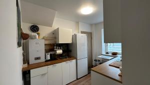 Kuchyň nebo kuchyňský kout v ubytování Japandi apartamentai