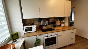 Kuchyň nebo kuchyňský kout v ubytování Japandi apartamentai