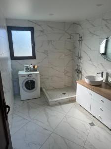 a bathroom with a washing machine and a sink at Guest house Zuzumbo in Tʼelavi