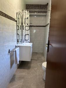 y baño con aseo, lavabo y ducha. en Quiet countryside apartments near the city and the sea, en Koper