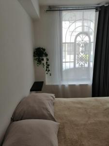 a bedroom with a bed and a window at (1) Cuarto confortable en la zona de Angelópolis. in Tlazcalancingo