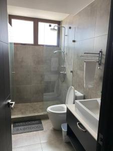 a bathroom with a shower and a toilet and a sink at Apartamento Edificio Urbana Z.10 in Guatemala +10 photos