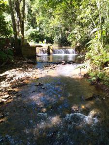a stream with a waterfall in the middle of a forest at Casa do Atelier: Vida simples, lugar para relaxar in Treviso +27 photos