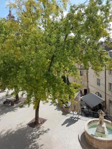 a tree in the middle of a courtyard with a fountain at La place aux fleurs in Dole