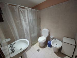 Un baño con lavabo, inodoro y ducha. en Rinconada 736 Sustentable, en San Salvador de Jujuy 13 fotos más