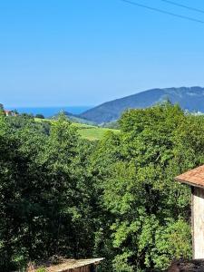 eine Gruppe von Bäumen mit Hügeln im Hintergrund in der Unterkunft Casa Rural Gaztandizabal in Aia