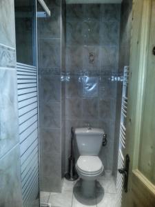 a bathroom with a toilet and a shower at Refuge Du Linga in Châtel