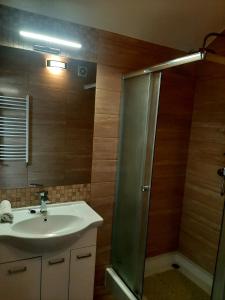 W łazience znajduje się umywalka oraz prysznic z lustrem. w obiekcie Pensjonat Kaprys w Solcu-Zdroju