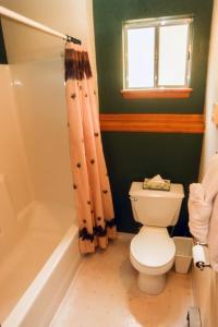 a bathroom with a toilet and a shower at Timber Creek Chalets- 12 chalet in Estes Park