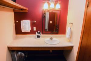 a bathroom with a sink and a mirror at Timber Creek Chalets- 12 chalet in Estes Park