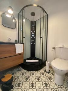 a bathroom with a shower and a toilet at joli duplex centre ville 5 min à pied de la gare sncf in La Loupe
