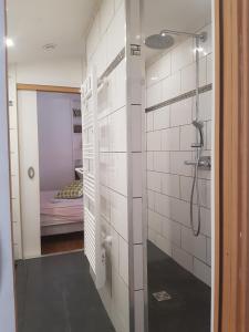 a bathroom with a walk in shower and a bedroom at Au coeur de LYON in Lyon