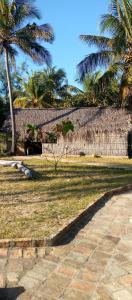 einen Park mit Palmen und einem Steinweg in der Unterkunft Povoado Bitonga in Inhambane