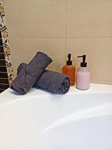 a bathroom sink with two towels and two bottles of soap at Vila Gloria ,Brașov in Ghimbav