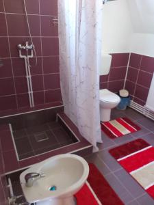 ein Bad mit einem Waschbecken, einem WC und einer Dusche in der Unterkunft Cazare La Nea Marin A Frame in Ciobotani