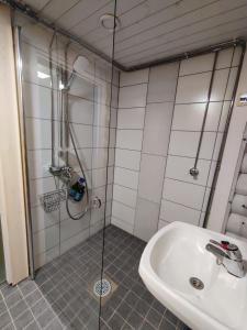 a bathroom with a shower and a sink at Saremökki in Kittilä