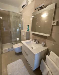 a bathroom with a sink and a shower and a toilet at Apartments Flora 2 in Rab