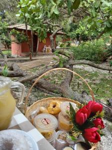 因巴塞的住宿－Pousada Aldeia Banzaê，一张野餐桌,上面放着一篮子的食物和鲜花