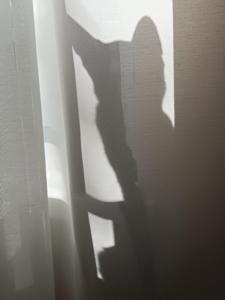 a shadow of a person standing behind a window at Villa Shardana B&B in Sesimbra