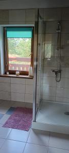 uma casa de banho com uma cabina de duche em vidro e uma janela. em Rajski Azyl em Lidzbark