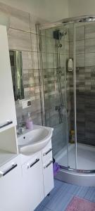 a bathroom with a sink and a shower at Rajski Azyl in Lidzbark