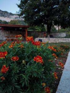ogród z pomarańczowymi kwiatami przed ławką w obiekcie Meadow's Edge - Charming Rustic Escape w mieście Cetynia