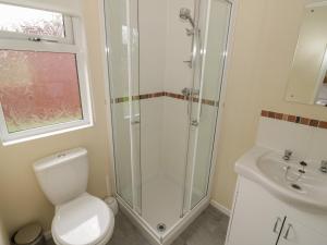 a bathroom with a shower and a toilet and a sink at Rose in Leominster