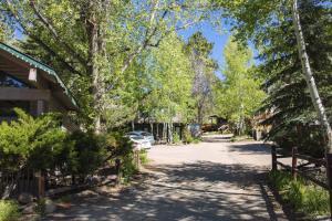 a driveway leading to a house with a car parked in it at Sunnyside Knoll- 3 studio in Estes Park +1 photo