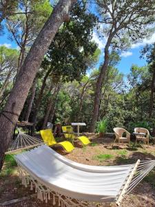 Zahrada ubytování La casa in pineta