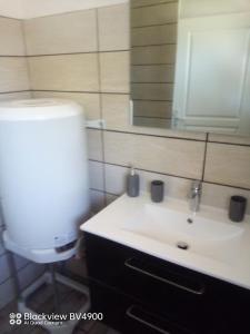 Koupelna v ubytování Aquadetente loudeac