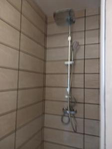 a shower with a shower head on a wall at Aquadetente loudeac in Loudéac