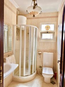 開羅的住宿－A lovely large master bedroom Maadi Degla，一间带卫生间和水槽的浴室