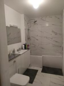a bathroom with a shower and a toilet and a sink at Spacious Two bedroom City apartment Longs Place, Dublin 8 in Dublin