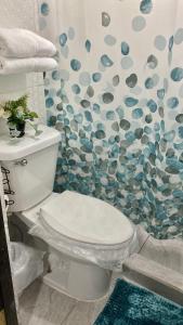 a bathroom with a toilet and a shower curtain at Residencial Lassonde Guest House in David