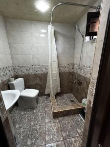 a bathroom with a toilet and a shower and a sink at 1Cosy apartment near airport EVN in Yerevan