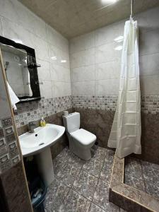 een badkamer met een toilet en een wastafel bij 1Cosy apartment near airport EVN in Jerevan