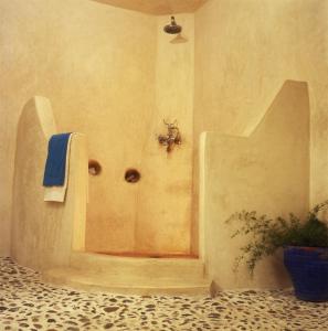 a bathroom with a shower with a spider on the wall at Dar Lazuli Bed & Breakfast in Essaouira