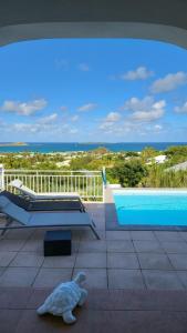 a stuffed turtle sitting on the floor next to a pool at RESIDENCE VILLA SEA PEARL in Saint Martin