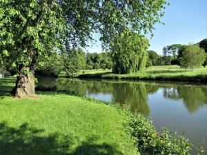 a river with a tree in the middle of a field at Cosy & Charmant Appartement proche Disney in Ferrières-en-Brie