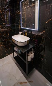 a bathroom with a sink and a mirror at Sport apartments in Radovljica +24 photos